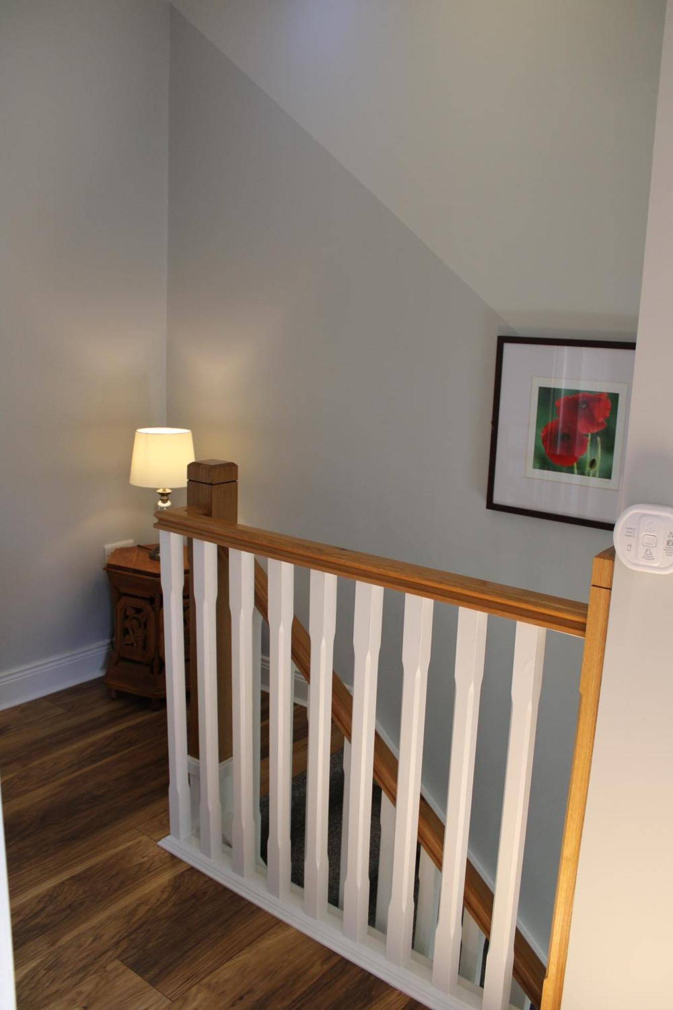 Cosy Holidayhomes Kerry Kenmare Dış mekan fotoğraf